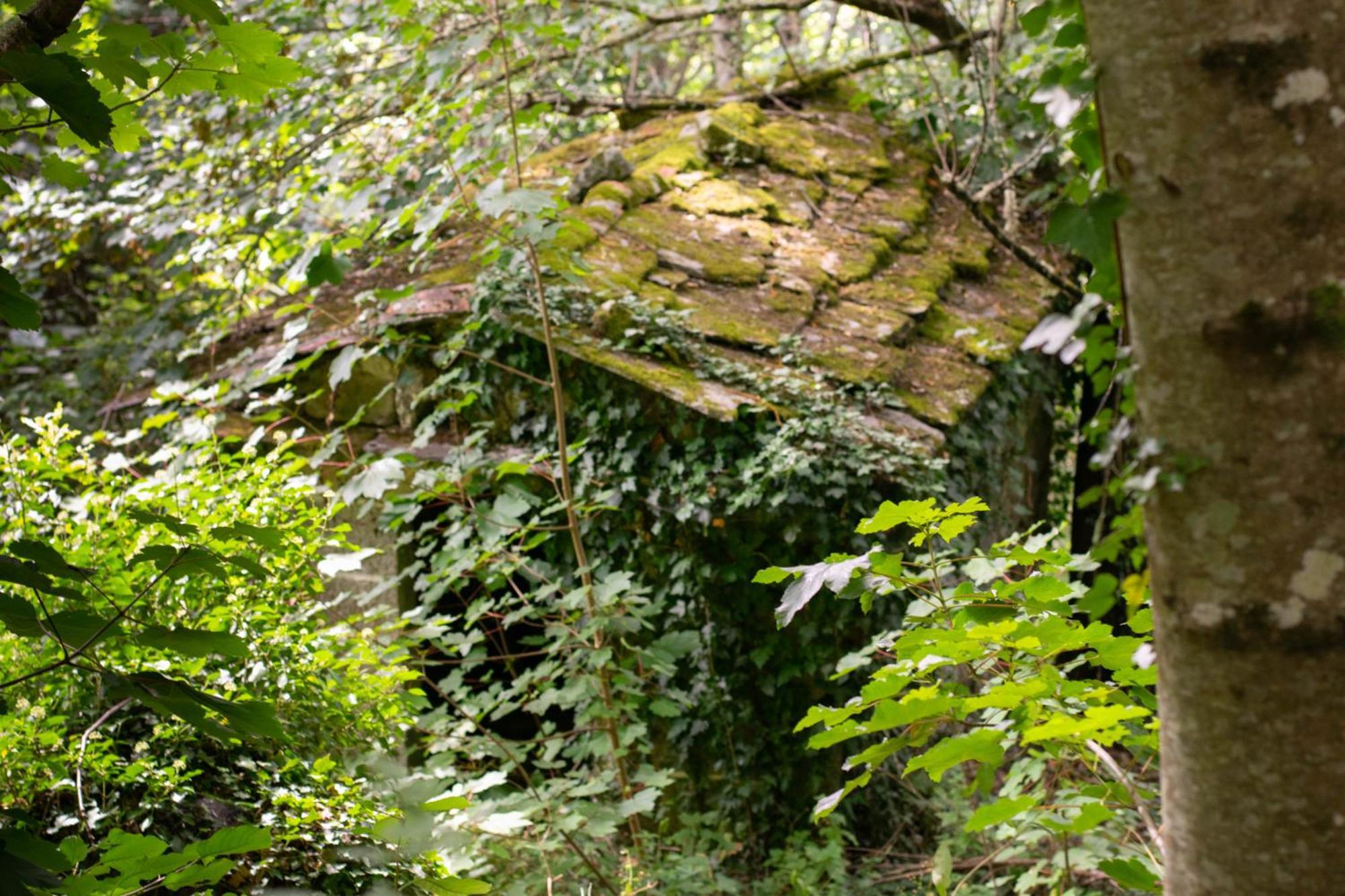 Ecolagar O Barqueiro Villa ปันตอน ภายนอก รูปภาพ